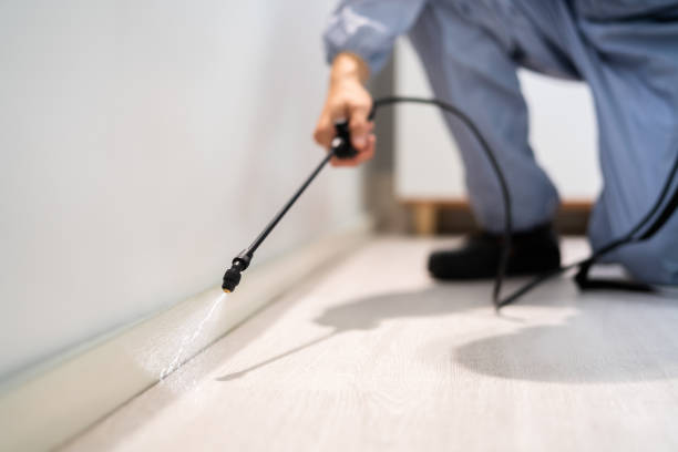 Licensed Termite Control service in Cecil-Bishop, PA - Nex Pest Control