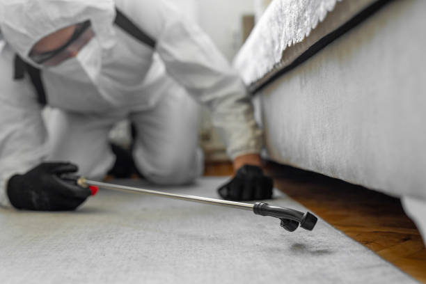 Professional Termite Control technician working in Cecil-Bishop, PA