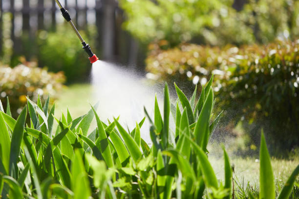 24/7 Emergency Termite Control experts in Cecil-Bishop, PA