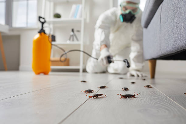 Affordable Termite Control solutions in Cecil-Bishop, PA
