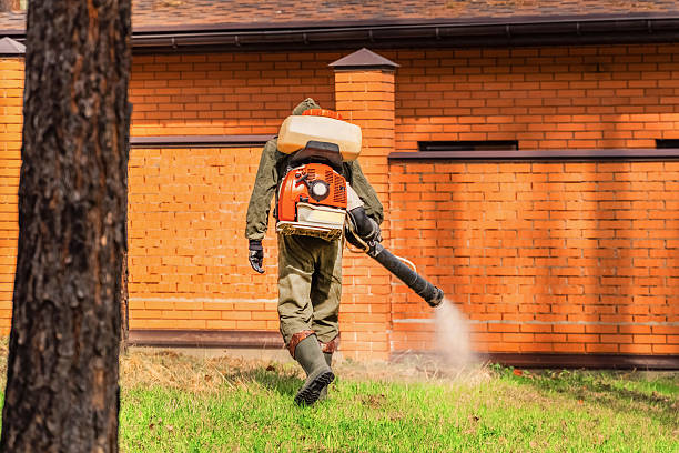 Top rated local Termite Control specialists in Cecil-Bishop, PA